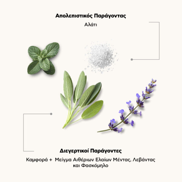 Natura Siberica Sauna & Spa Scrub Σώματος Hot Salt για Αδυνάτισμα-Σύσφιξη-Κυτταρίτιδα 370ml 0550E - Image 3